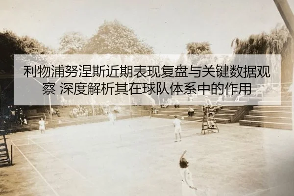 li-wu-pu-nu-nie-si-jin-qi-biao-xian-fu-pan-yu-guan-jian-shu-ju-guan-cha-shen-du-jie-xi-qi-zai-qiu-dui-ti-xi-zhong-de-2-462.jpg